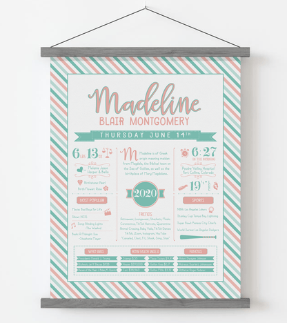 Gray Magnetic Frame / Peachy Pink & Aqua Print