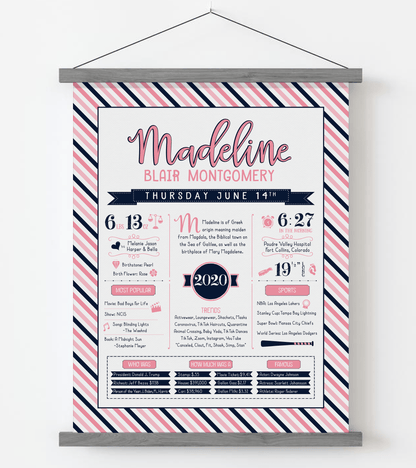 Gray Magnetic Frame / Pink & Navy Print